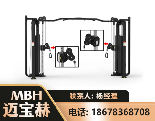龙岩大飞鸟训练器